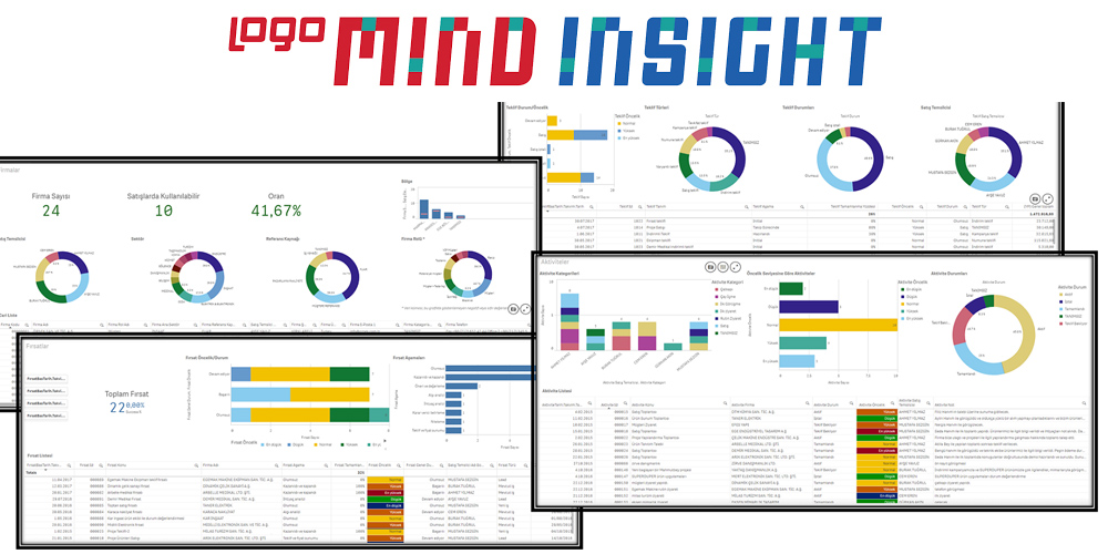 Logo Veri Analizi ve İş Analitiği Programları